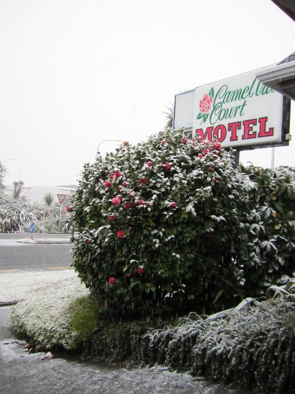 לוור האט Camellia Court Motel מראה חיצוני תמונה